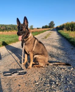 Mehr über den Artikel erfahren Holger Müller