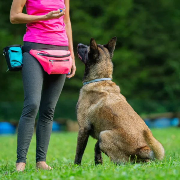 Kurs: mein Hund spinnt <br> Termin: 15.04.2026